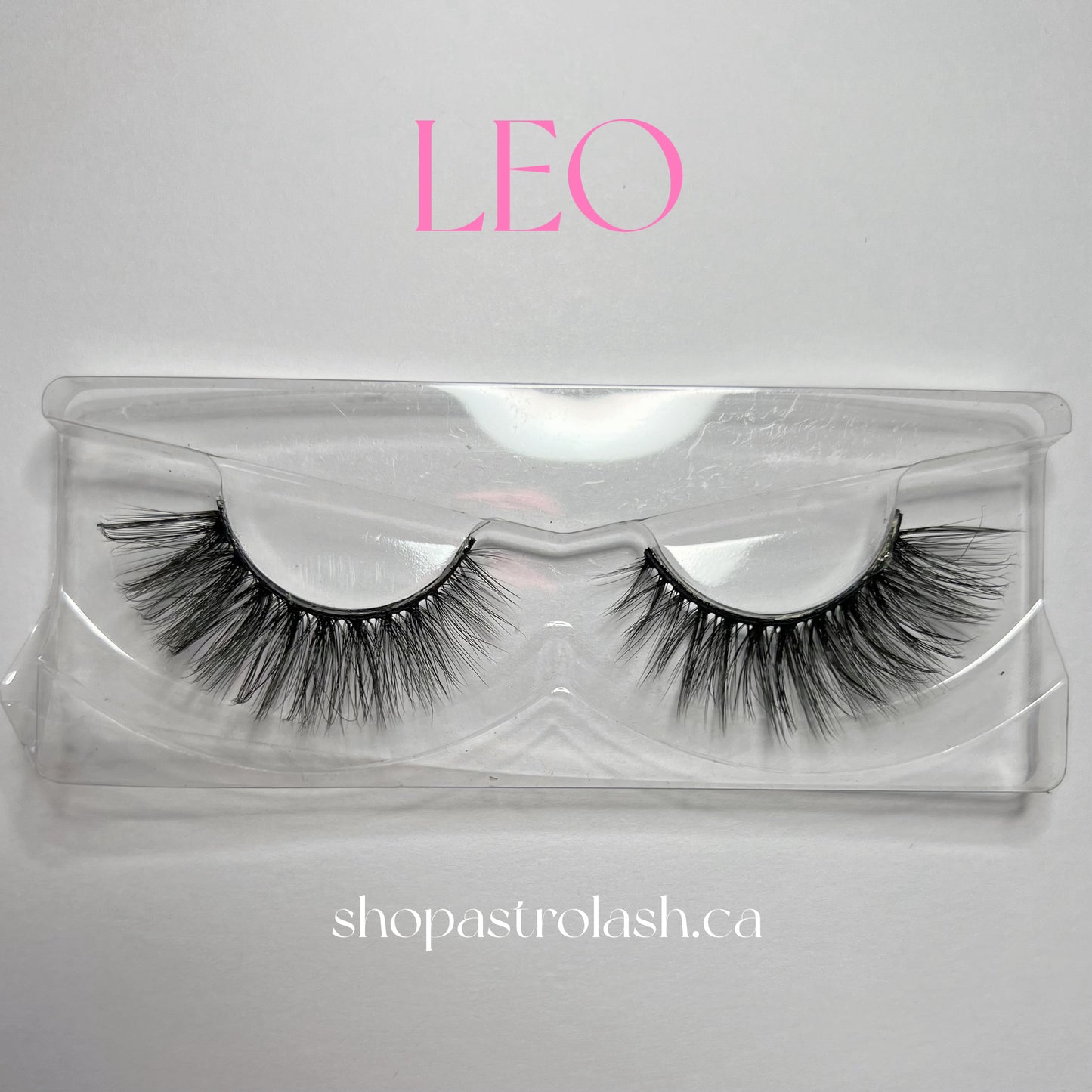 LEO