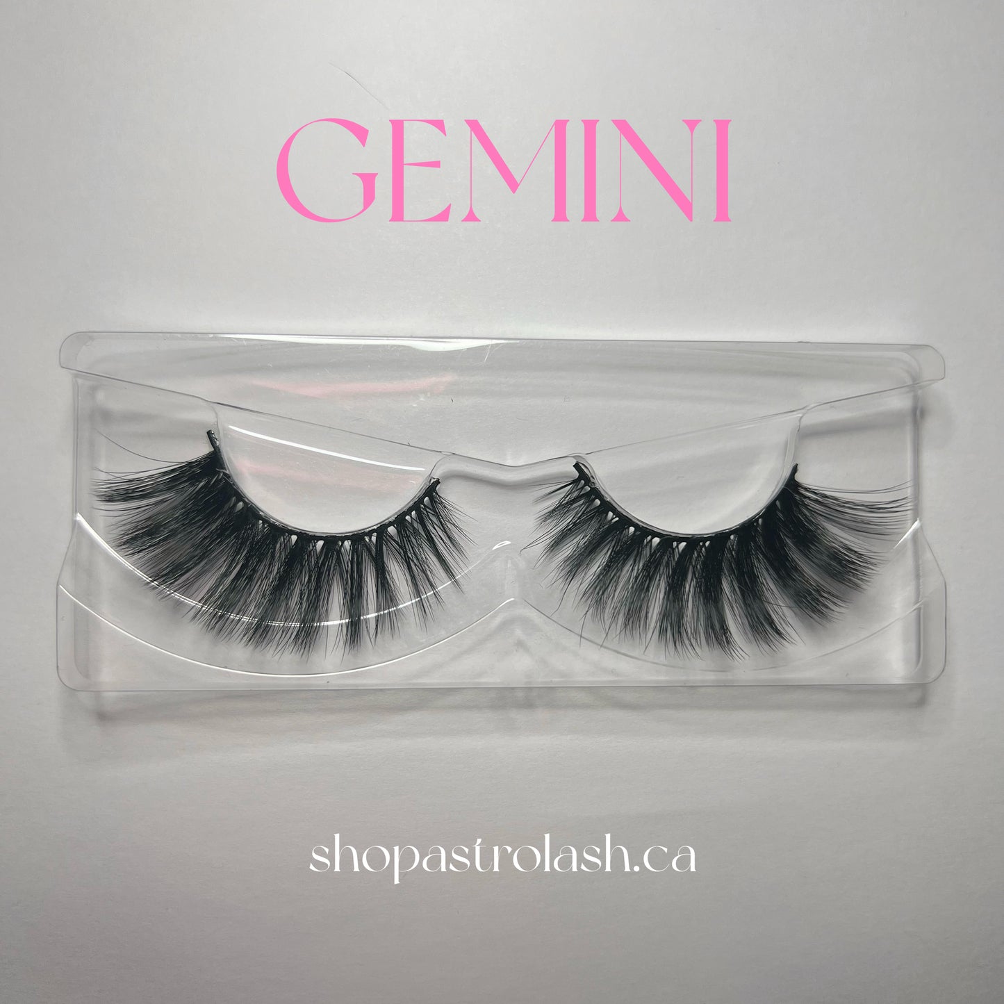 GEMINI